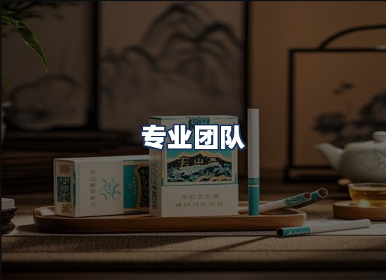 专业团队